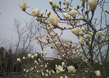 29104010_1.jpg
