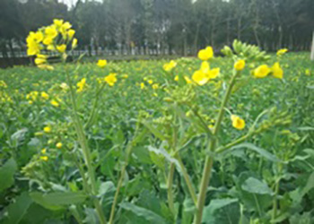 29104032.jpg
