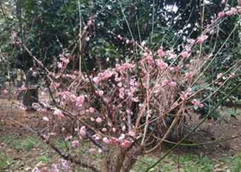 29104010_2.jpg